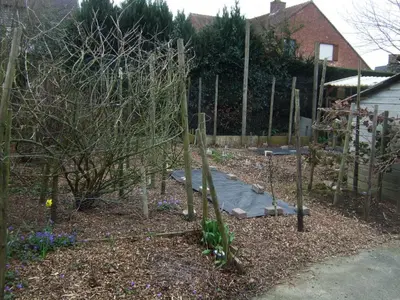a garden with several trees and a fence at Bij het station van Drongen in Ghent