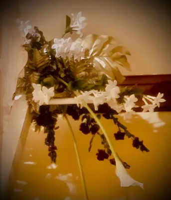 a bouquet of flowers in a vase on a table at Casa Lucinda in Ghent