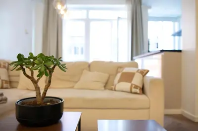 a living room with a couch and a plant on a table at Brussels South - Cosy Appartment in Brussels