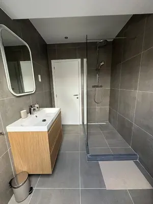 a bathroom with a shower and a sink and a mirror at 5- Nid lumineux 2 chambres au plein coeur d'Ixelles in Brussels