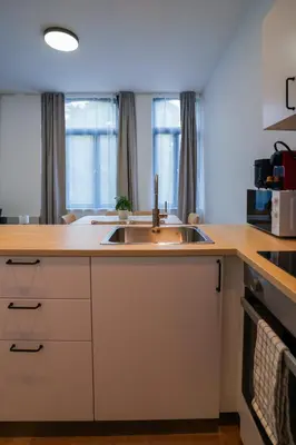 a kitchen with a sink and a counter top at Appartment Jacobs 6 in Brussels