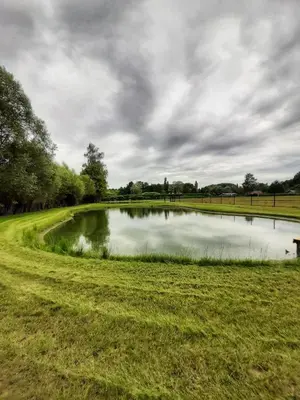 a pond in the middle of a grassy field at Black Pearl in Hamme