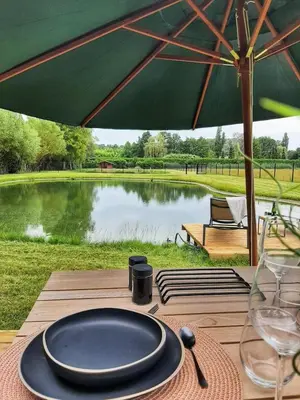 a table with a plate and an umbrella and a pond at Black Pearl in Hamme
