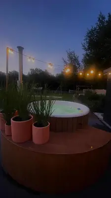 two potted plants sitting on a circular table at night at Chambre d Amis in Lokeren