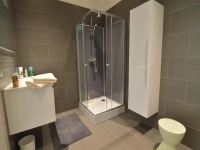 a bathroom with a shower and a toilet at Holiday home in Zottegem in Zottegem