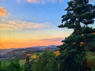 a tree on a hill with a sunset in the background at Holiday home in Zottegem in Zottegem