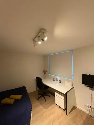 a bedroom with a desk and a bed and a tv at Briefstreet - Louvain in Leuven