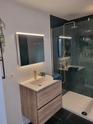a bathroom with a sink and a shower at Le Jardin in Wommelgem