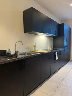 a kitchen with black cabinets and a sink at The 9th Street Residence in Brussels