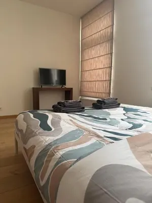 a large bed in a room with a tv at The 9th Street Residence in Brussels