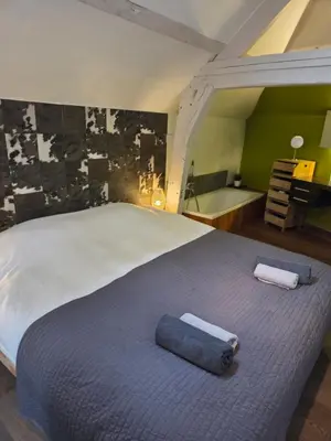 a bedroom with a large bed and a bath tub at Strole's House in Ghent
