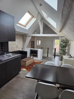 a kitchen and living room with a black table and chairs at Strole's House in Ghent