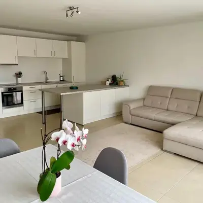Bright & Peaceful Appartment in Koningslo