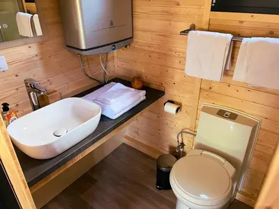 a small bathroom with a sink and a toilet at Liberty Lodge X by Tiny Away in Kalmthout
