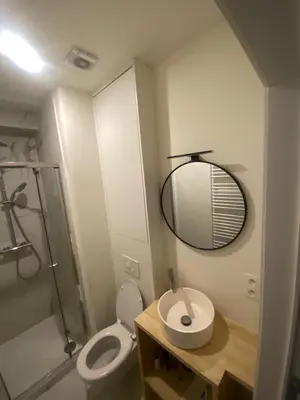 a bathroom with a toilet and a sink and a mirror at Cosy Apartment in Antwerp in Antwerp