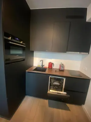 a kitchen with a sink and a stove at Cosy Apartment in Antwerp in Antwerp
