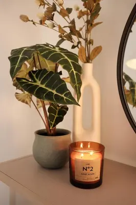 a candle and a potted plant on a table at Cozy Parisian-Style Flat in Antwerp Zuid in Antwerp