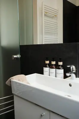 a bathroom with a sink and a mirror at Cozy Parisian-Style Flat in Antwerp Zuid in Antwerp