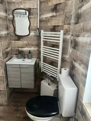 a bathroom with a toilet and a sink at Appartement Bruxelles 1 in Brussels