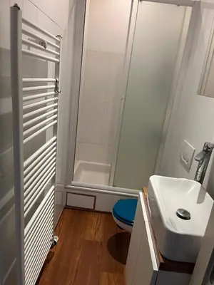 a bathroom with a shower and a white sink at Kamer Demer in Aarschot