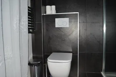a bathroom with a white toilet and a shower at Luxurious Apartment in Brussels