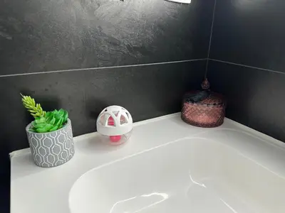 a bathroom counter with a white sink and a plant at Luxurious Apartment in Brussels