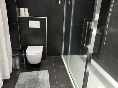 a bathroom with a shower and a toilet and a tub at Luxurious Apartment in Brussels