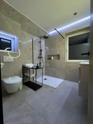 a bathroom with a shower and a toilet and a sink at Villa aux portes de Bruxelles in Dilbeek