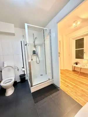 a bathroom with a shower and a toilet at European Lodge Rooms Brussels in Brussels