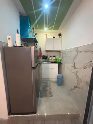 a small kitchen with a refrigerator in a room at Jps house in Brussels