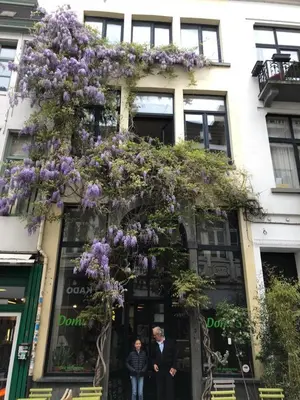 a bunch of purple flowers hanging from a building at Great apartment with a soul in the middle of the center in Ghent