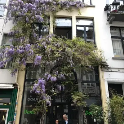 Great apartment with a soul in the middle of the center