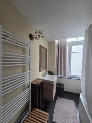 a bathroom with a sink and a shower at Pb155, balcony with street view in Brussels