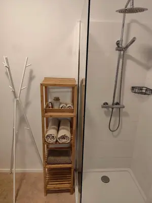 a bathroom with a shower and a rack with towels at Cozy Renovated Studio in Central Brussels in Brussels