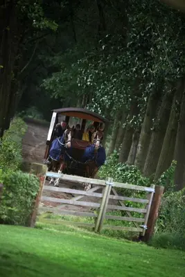 a group of people riding in a horse drawn carriage at 15 inn in Mol
