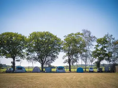 a group of tents in a field with trees at Two-Bedroom Retreat in the Heart of Kempen in Ravels