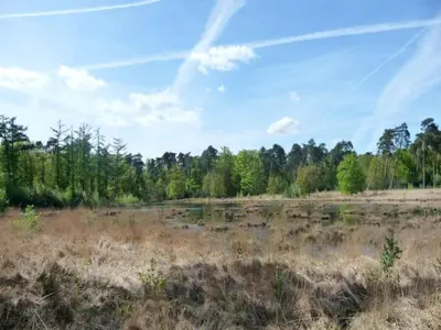 an open field with trees in the background at Beach lodge with lake view in Ravels in Ravels