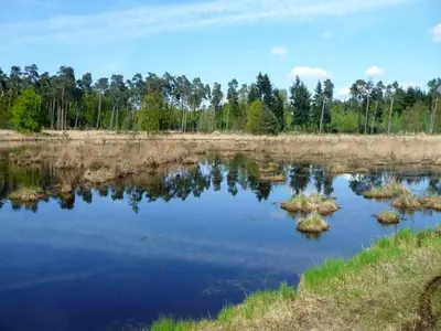 a lake with some grass in the water at Cordelia Lodge with Garden & Picnic Area in Ravels