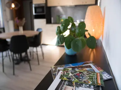 a table with a plant and a magazine on it at Luxury Forest Lodge with Private Garden in Ravels