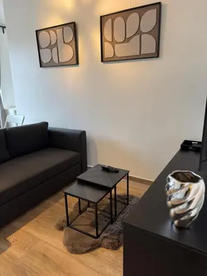 a living room with a couch and a table at cozy apartment in Brussels in Brussels