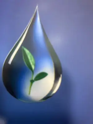 a drop of water with a green plant in it at Studio confortable situé à Woluwe Saint Lambert in Brussels