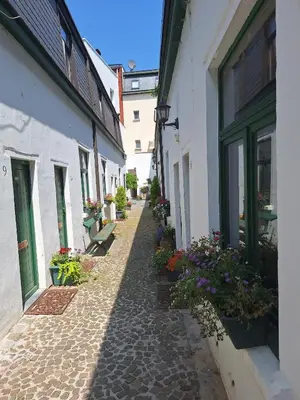 an alley between two buildings with potted plants at the hobbit house in Antwerp