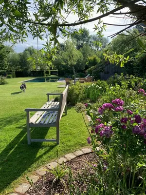 a bench in a garden with a dog in the background at Vakantiewoning HET HUIS NUMMER 11 in Oosterzele