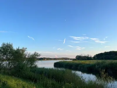 a view of a river with grass and trees at Huisje Scheldevallei in Temse