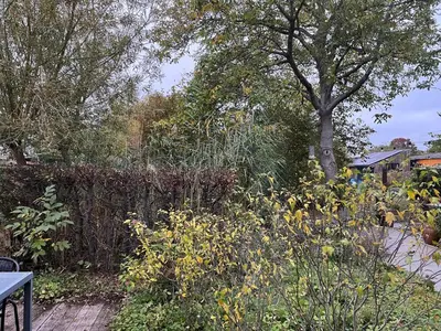 a garden with flowers and a fence and a tree at Bellefleur Cottage in Herent