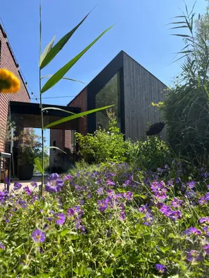 a garden with purple flowers in front of a house at Bellefleur Cottage in Herent