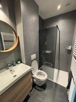 a bathroom with a toilet and a sink and a mirror at Apartment central Lier in Lier