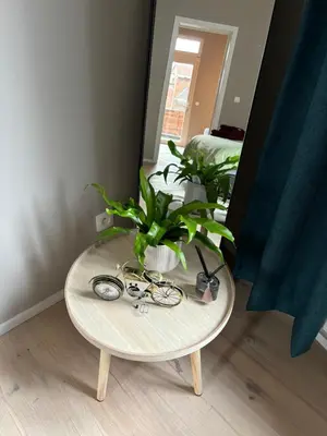 a table with a potted plant on top of it at Apartment central Lier in Lier