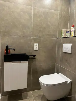 a bathroom with a toilet and a sink at Sisel Apart House in Temse