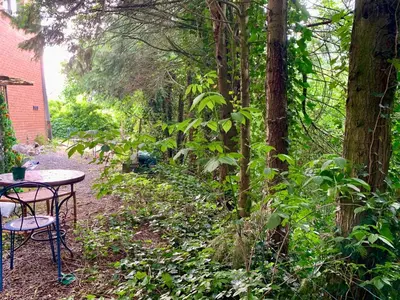 a table and chair sitting in the woods at River City in Beersel